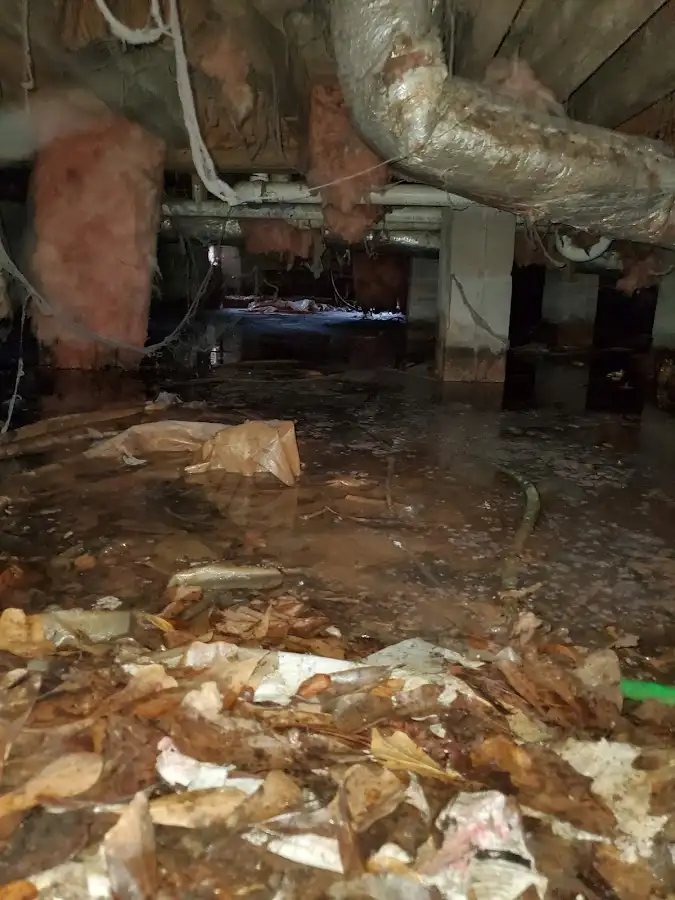 Crawl space flood assessment for Leak Detection & Repair in Casa de Oro-Mount Helix