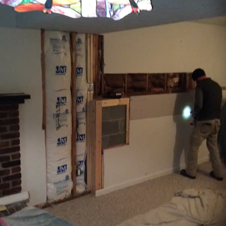 Restoration technician inspecting water damage in Casa de Oro-Mount Helix